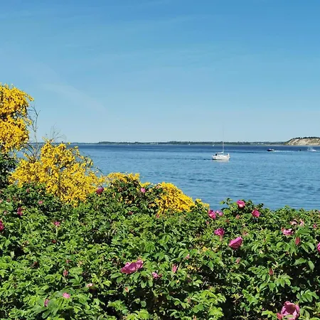 Σπίτι διακοπών 6 Person In Hojslev-by Traum